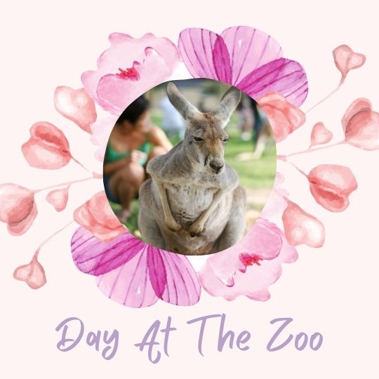 8. Day at the zoo / aquarium 8. Day at the zoo / aquarium