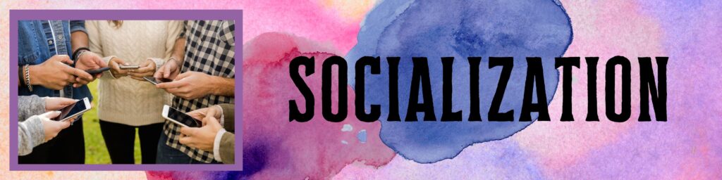 Socialization Socialization